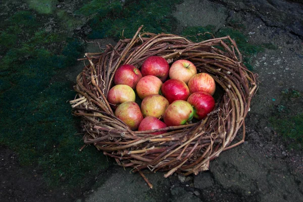 Frische Äpfel Nest Auf Beton — Stockfoto