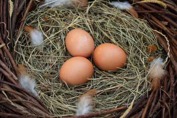Three eggs in a nest