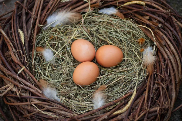 Drie Eieren Een Nest — Stockfoto