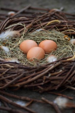 Bir yuvada üç yumurta