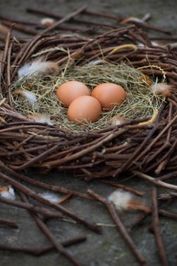 Bir yuvada üç yumurta