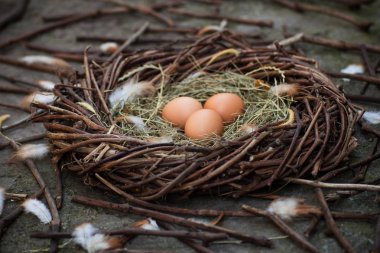 Bir yuvada üç yumurta