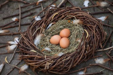 Bir yuvada üç yumurta