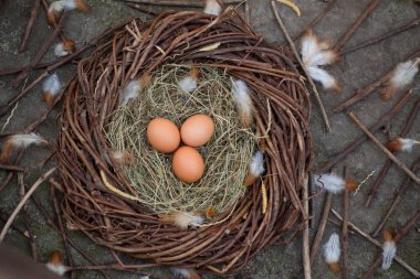 Bir yuvada üç yumurta