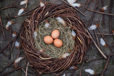 Bir yuvada üç yumurta