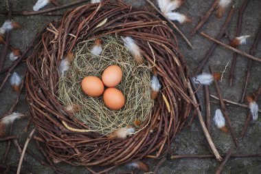 Bir yuvada üç yumurta