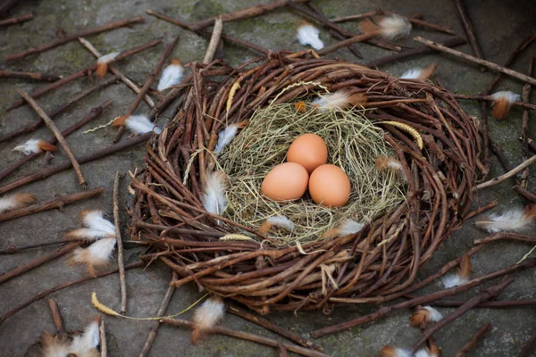 巣の中に3個の卵 — ストック写真