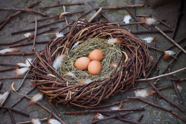 Drie Eieren Een Nest — Stockfoto