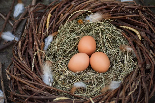 Drie Eieren Een Nest — Stockfoto