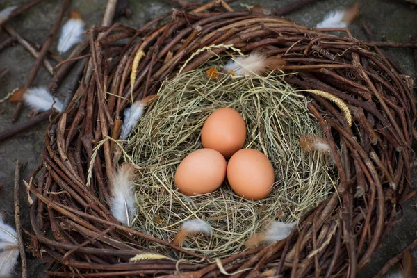 Three Eggs Nest — Stock Photo, Image