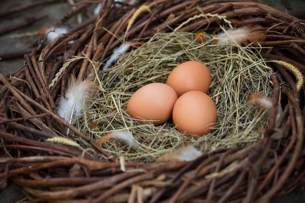 Drei Eier Nest — Stockfoto