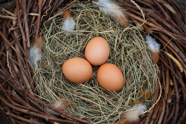 Três Ovos Ninho — Fotografia de Stock