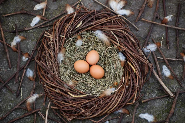 Drie Eieren Een Nest — Stockfoto