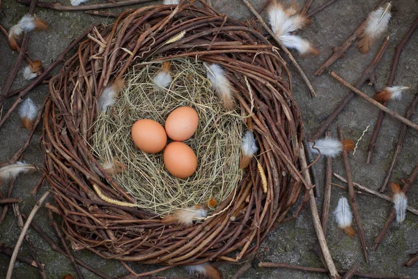Three eggs in a nest