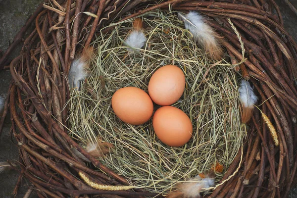 Three Eggs Nest — Stock Photo, Image