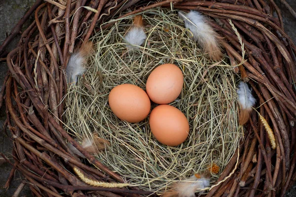 Trzy Jaja Gnieździe — Zdjęcie stockowe