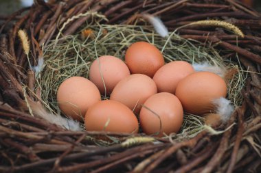 Yumurta yuvada saman yığını