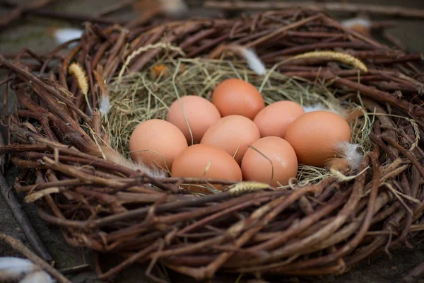 Hög Med Ägg Höet Boet — Stockfoto