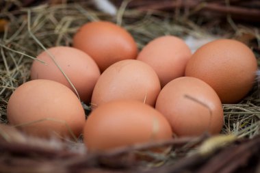 Yumurta yuvada saman yığını