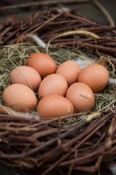 Een Stapel Van Eieren Het Hooi Het Nest — Stockfoto