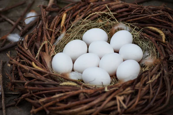 Witte Eieren Het Hooi Het Nest — Stockfoto