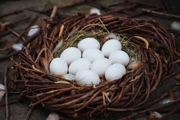 Белые Яйца Сене Гнезде — стоковое фото