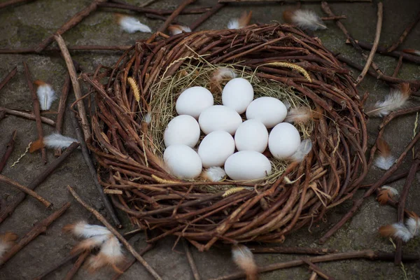 Vita Ägg Höet Boet — Stockfoto