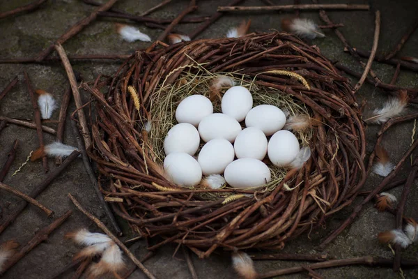 Witte Eieren Het Hooi Het Nest — Stockfoto