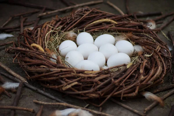 Ovos Brancos Feno Ninho — Fotografia de Stock
