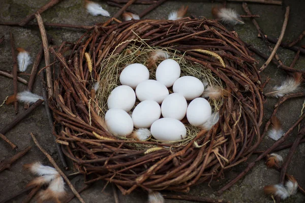 Weiße Eier Heu Nest — Stockfoto