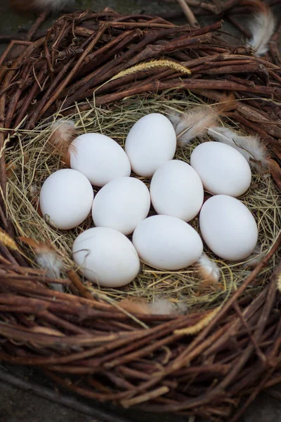 Ovos Brancos Feno Ninho — Fotografia de Stock