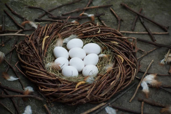 Weiße Eier Heu Nest — Stockfoto