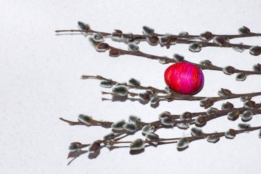 Söğüt dalları arasında kırmızı yumurta