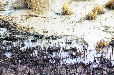 Yangın sonra nehir Bankası