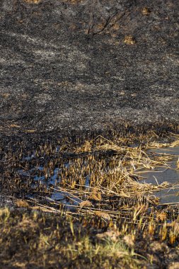 Yangın sonra nehir Bankası