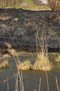 Yangın sonra nehir Bankası