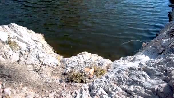 脏水在岩石白沙海岸顶角视图上平静地流动 — 图库视频影像