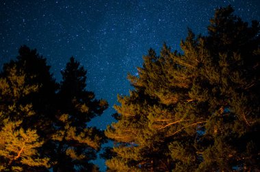 dağlarda yıldız gökyüzü