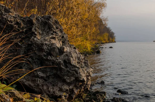 Träd Sten Nära Floden Hösten — Stockfoto
