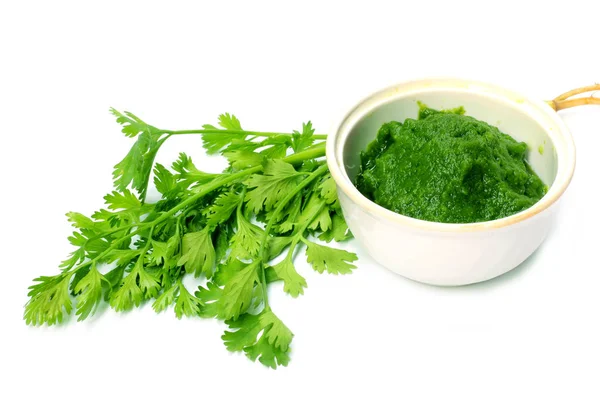 Hojas Cilantro Con Pasta Sobre Fondo Blanco —  Fotos de Stock