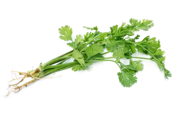 Bunch of Medicinal coriander leaves