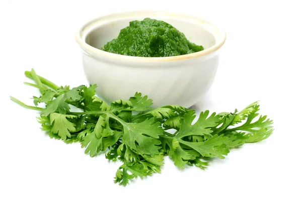 Fresh Coriander White Background — Stock Photo, Image