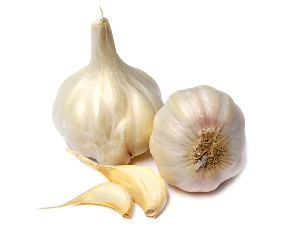 Fresh Garlic Spices Overn White Background — Stock Photo, Image