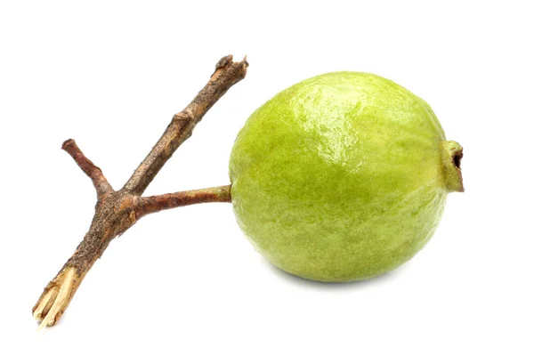 Färsk Guava Över Vit Bakgrund — Stockfoto