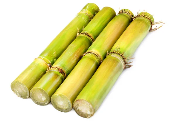 Fresh Sugarcane White Background — Stock Photo, Image