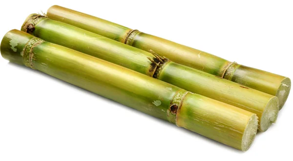 Sugar Cane White Background — Stock Photo, Image