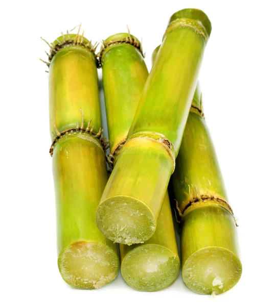 Fresh Sugarcane White Background — Stock Photo, Image