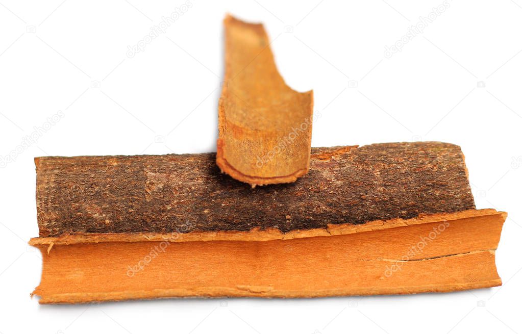 Cinnamon bark over white background