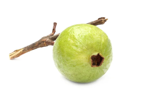 Mogen Guava Över Vit Bakgrund — Stockfoto