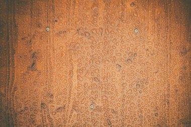 Bazı yağmur damlaları ahşap platformda bir kadeh yukarıya kapatmak.